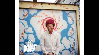 Toro y Moi - Half Dome
