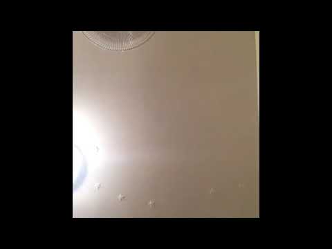 So my friend tried recreating Mr. Sandman cat meme