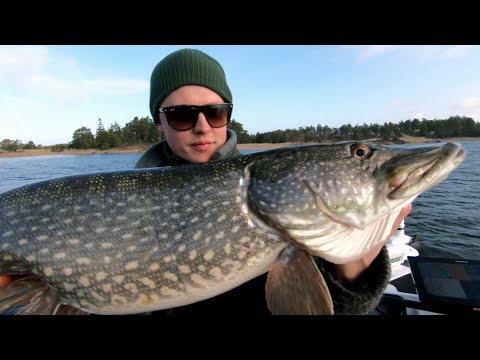 COMPETITION TIME! Win Team Raymarine's amazing homemade tailbait from Fly vs Jerk 10