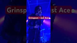 Grinspoon - Just Ace