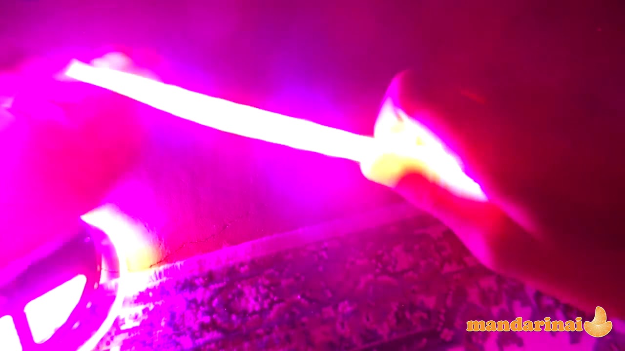 Pilno spektro led šviesos juosta augalams auginti su maitinimo šaltiniu