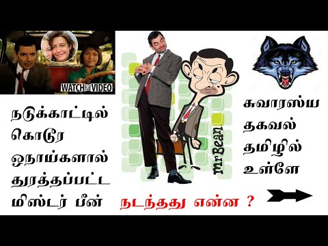 Mr bean episode in Tamil Mp4 3GP Video & Mp3 Download unlimited Videos  Download 