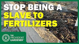 Stop Using Regular Dirt! How to Fill Raised Beds for Self-Sustaining Nutrients