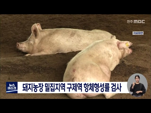 돼지농장 밀집지역 구제역 항체형성률 검사