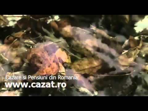 Cazare Albinari, Prahova - Cazat.ro