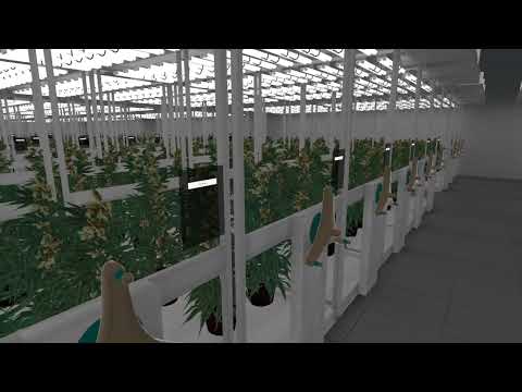 Digital Twin Pharmaceutical Cannabis in Aryzon World