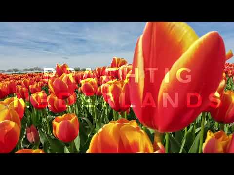 kieferphoto - Prachtig Nederlands 2024