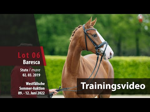 Sommer-Auktion Training Lot 6 Baresca Stute v. Benicio - Rousseau