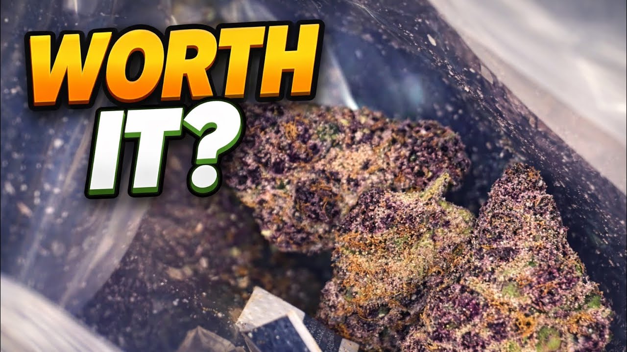 Smoke Stalkers - ValuedBud Review