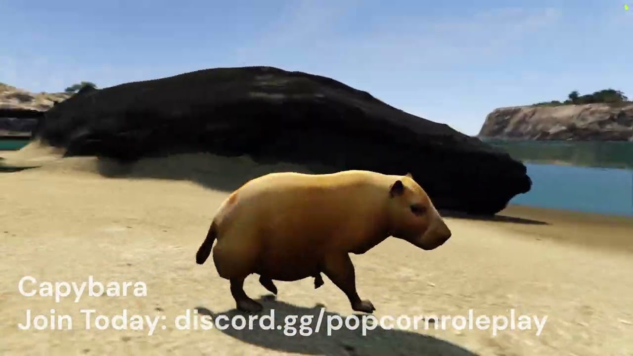 Capybara - Addon Animal Ped thumbnail 2