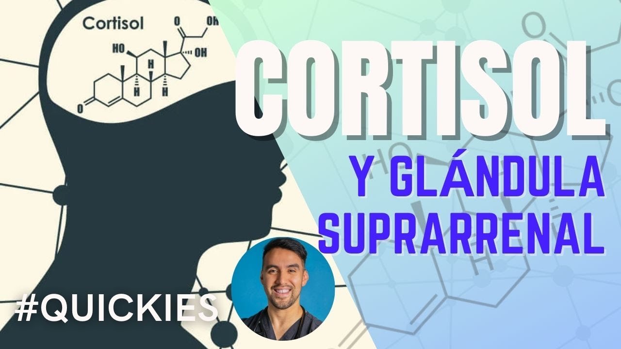 Glándula Suprarrenal: Cortisol, Aldosterona y Hormonas Sexuales (Fisiología y Bioquímica)