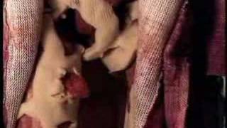 &quot;phoenix&quot; tear garden (recut)