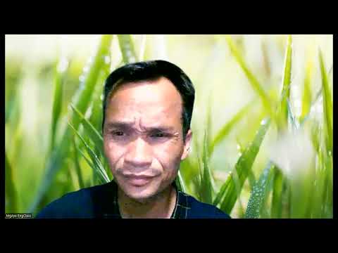 playway to english 3