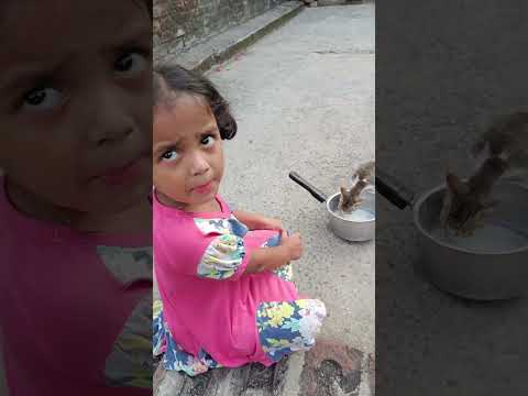 Purvi Cat Ko Milk Pila Rhi Hai 😍🥰😍#purvi2k20 #cat #viral