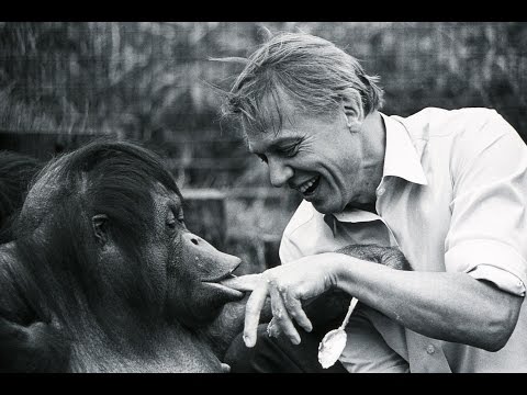 Happy Birthday Sir David Attenborough!