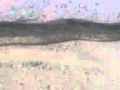 Veerapur Videos