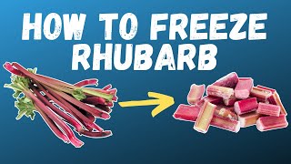 HOW TO FREEZE RHUBARB | Growing food in small spaces