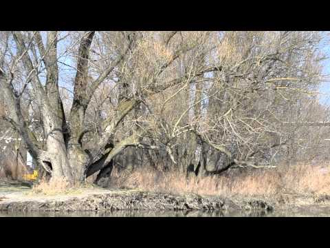 CYKLOMOST DEVINSKA NOVA VES - SCHLOSSHOF