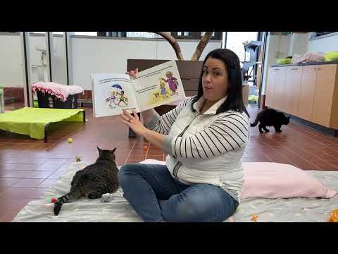 Story time with Jamie!