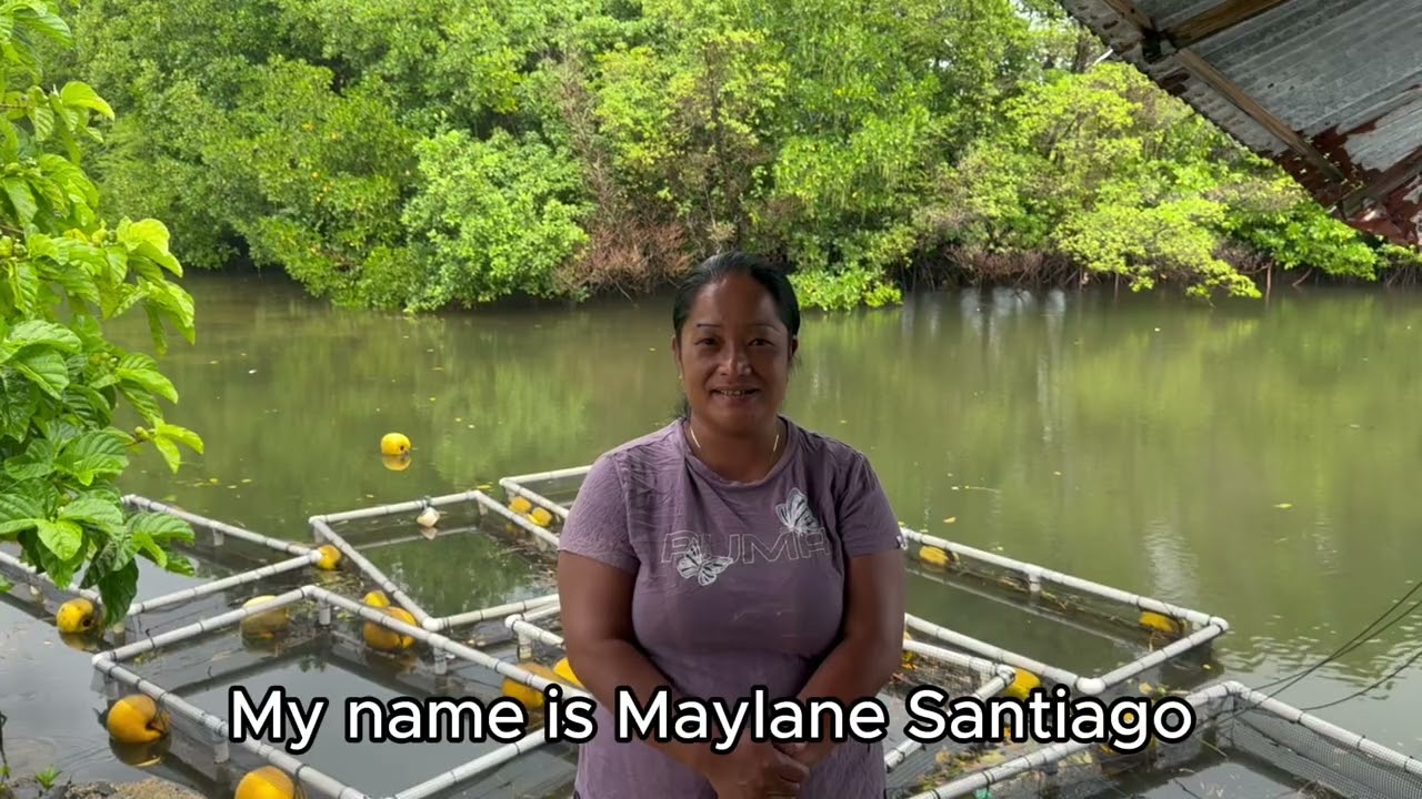Kiwa MiCOAST Project - MERIP Fish farms in Pohnpei (Federated States of Micronesia) - 2025