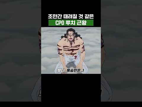 원피스) 조만간 때려칠 것 같은 CP0 루치 근황 #원피스
