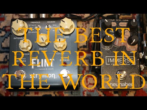 Strymon Flint VS Neunaber Immerse MKII: Spring, Plate and Hall Reverb (NO TALKING)