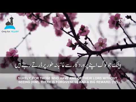 Surah Al-Mulk ( سورة الملك) Sheikh Mansour As-Salimi الشيخ منصور السالمي