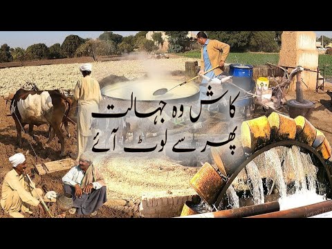 Kash Wo Jahalat Phir Loot Aaye | Uncovering Lost Legends
