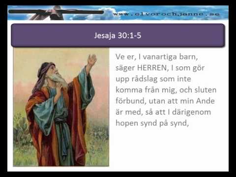 Sven Reichmann: Ande och Kött del 2 Hjärtats omskärelse