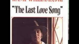 Hank Williams Jr  - Too Soon To Think Of Love Again
