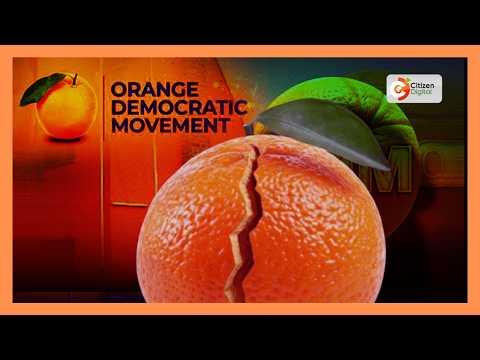 Naibu kinara wa ODM Abdulswamad asisitiza linda mwananchi wanapaswa kuondoka ODM