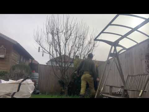 Branching Out - Tree Work & Hedge Cutting video.