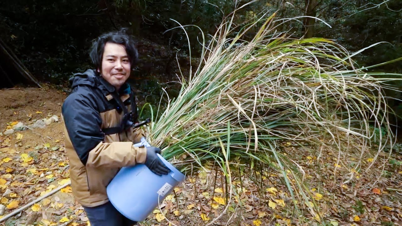 巨大な草を伐採しまくってたら、まさかの警察沙汰に。。。
