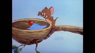 Download lagu Tom & Jerry Episode 41 Hatch Up Your Troubles 1949 mp3 Download lagu Tom & Jerry Episode 41 Hatch Up Your Troubles 1949 mp3