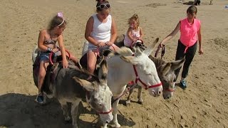 preview picture of video 'Donkey Riding at Dymchurch'