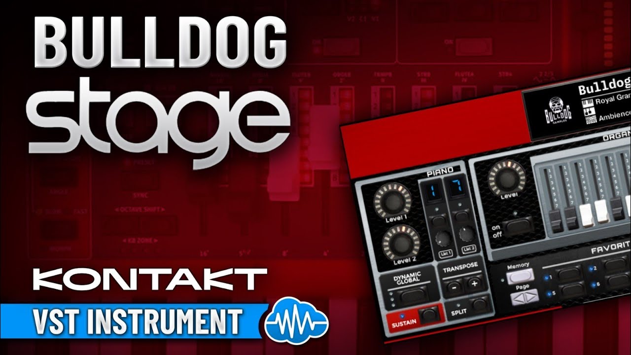 BDS009 - ( Bundle ) - Bulldog Stage + Strings - Native Instruments Kontakt - Full Version - Video Preview 1