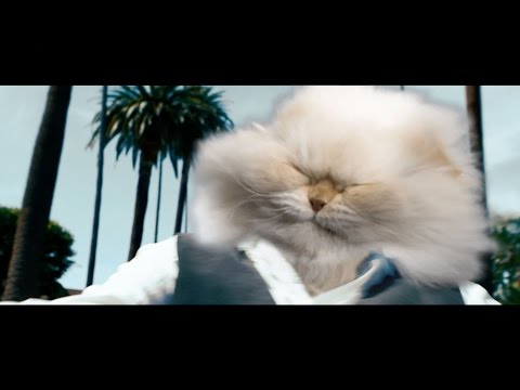 Stereolizza - Cool Cat
