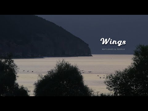Wings Wetlands & People a Story about Achieving Harmony between Humans and Nature in Prespa