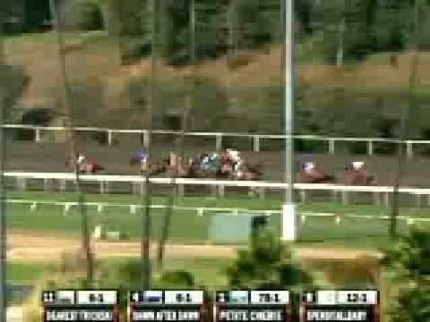 2008 A Gleam Handicap