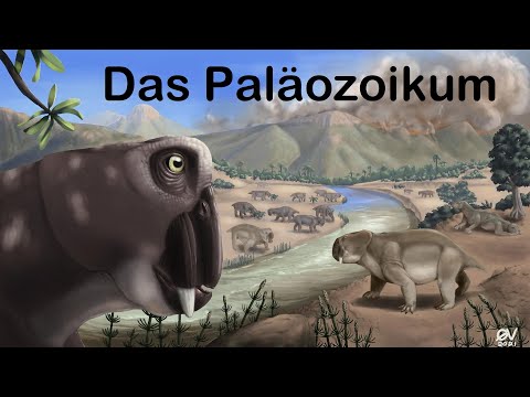 Erdzeitalter #1 - Das Paläozoikum