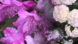 Stanisław Soyka ...tylko brać