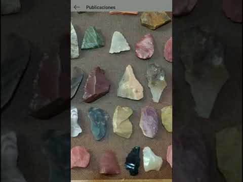 HDS cosas raras de la naturaleza