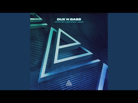 Catch My Love (feat. Ni/Co)