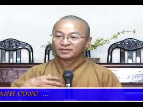 Vấn đáp: Để Phật Sự Được Thành Công...(23/06/2009) Thích Nhật Từ