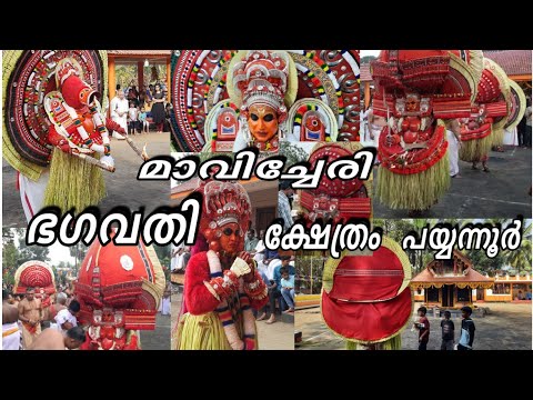 Kannur Payyannur Mavicheri Bhagavathi Kshetram Every Year