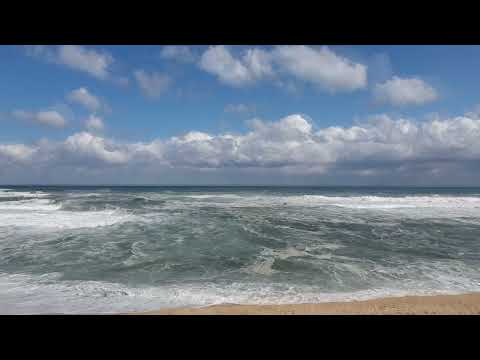 SALMO 37 (36) LA SORTE DEL GIUSTO E DELL’EMPIO