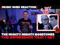 Music Teacher REACTS |The Mighty Mighty Bosstones 