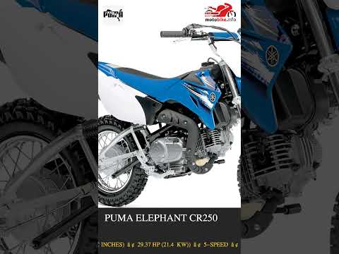 Puma Elephant CR250 - Video 1