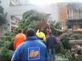 Filmato Albero Caduto Via Roma 28 Nov 2008 Wmv
