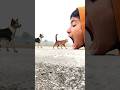 All Domestic Animals In My Mouth Funny Vfx Magic Video